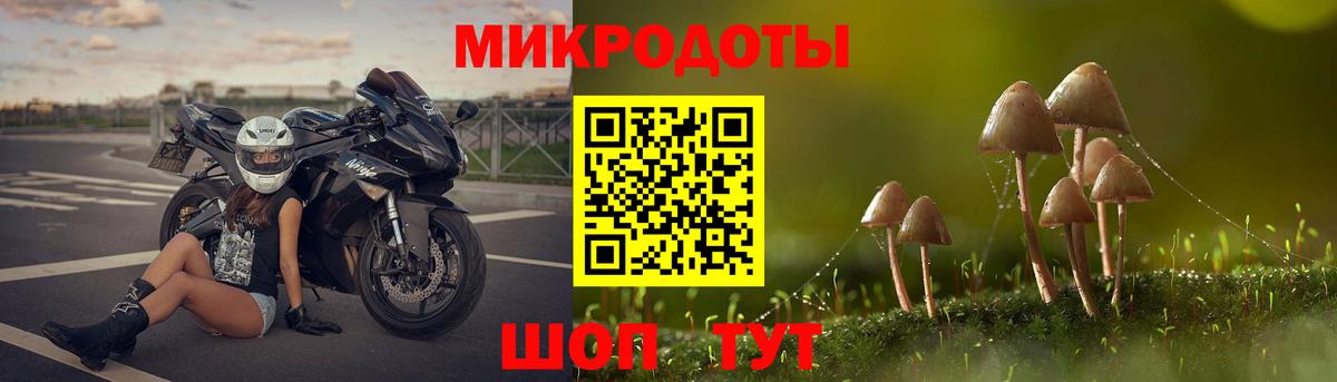 Галлюциногенные грибы Psilocybine cubensis  Вход с VPN  где купить   Строитель 